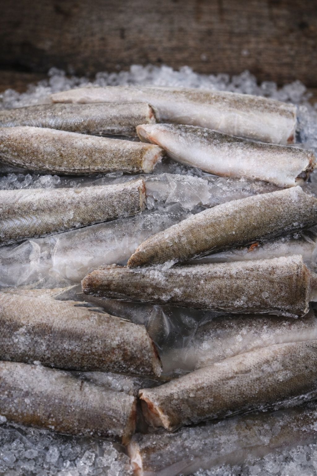 Merluciu  HGT Hubbsi 200 per 300 gr 14 16 kg bax